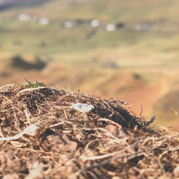 Meet your Posher, JW - Picture 1 of 1